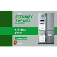 Seznamy zápasů - sezóna 24/25